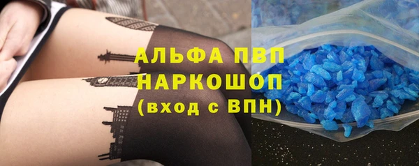 прущие грибы Козельск