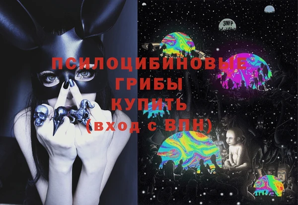 дурь Козловка