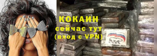 прущие грибы Козельск