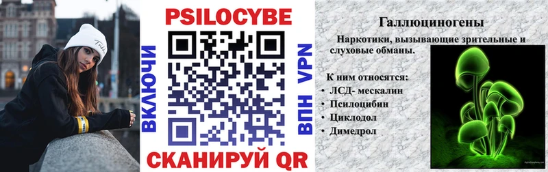 Галлюциногенные грибы Psilocybine cubensis  Купить где  Ленинградская 